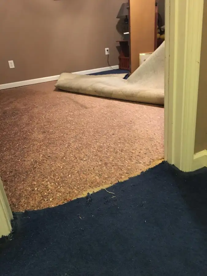 Carpet pad removal revealing water damage during Drying & Dehumidification in Chain Lake