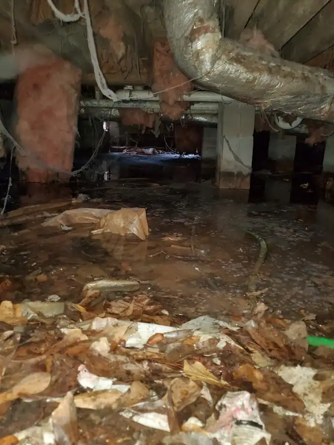 Crawl space flood assessment for Commercial Water Damage Restoration in Chain Lake